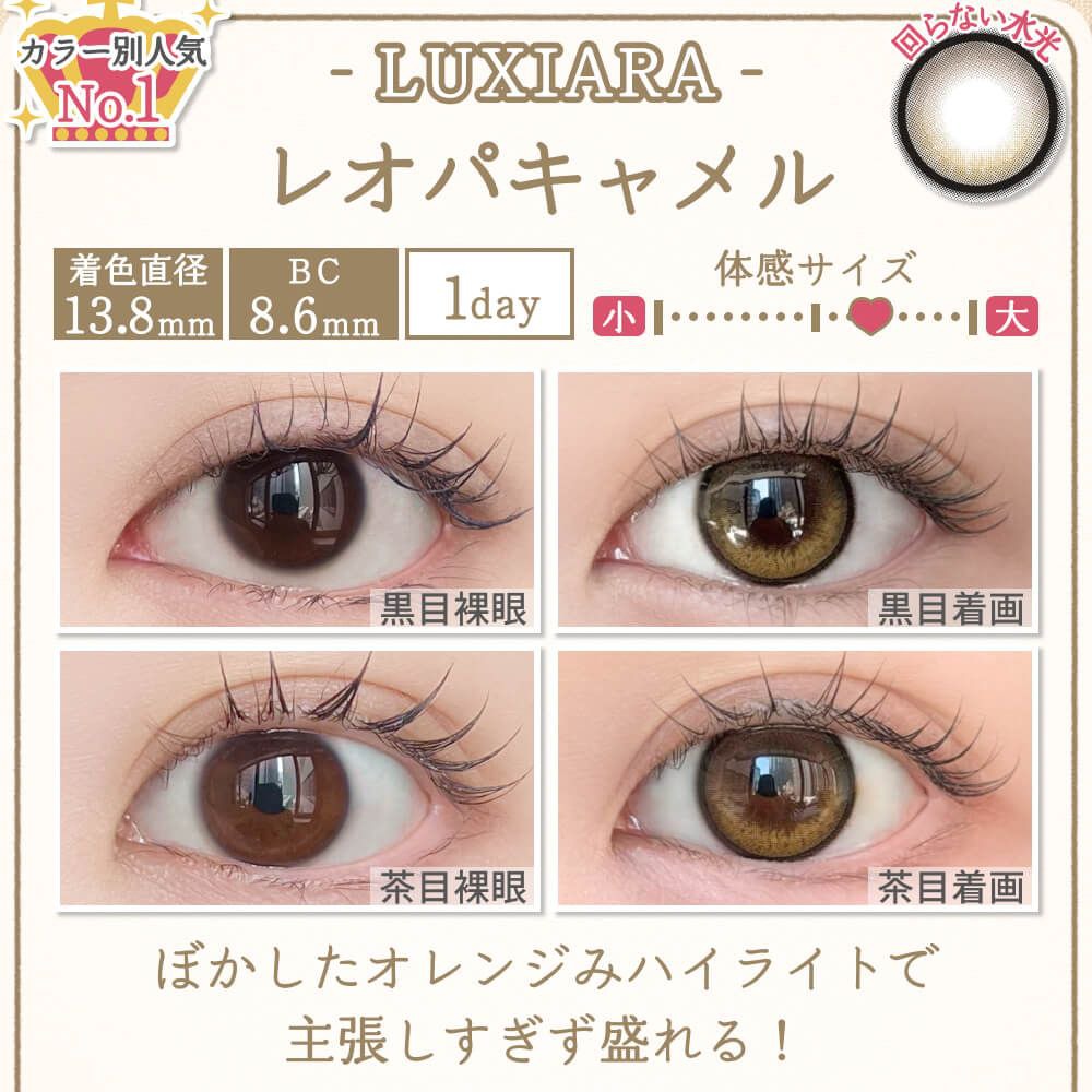 レオパキャメル