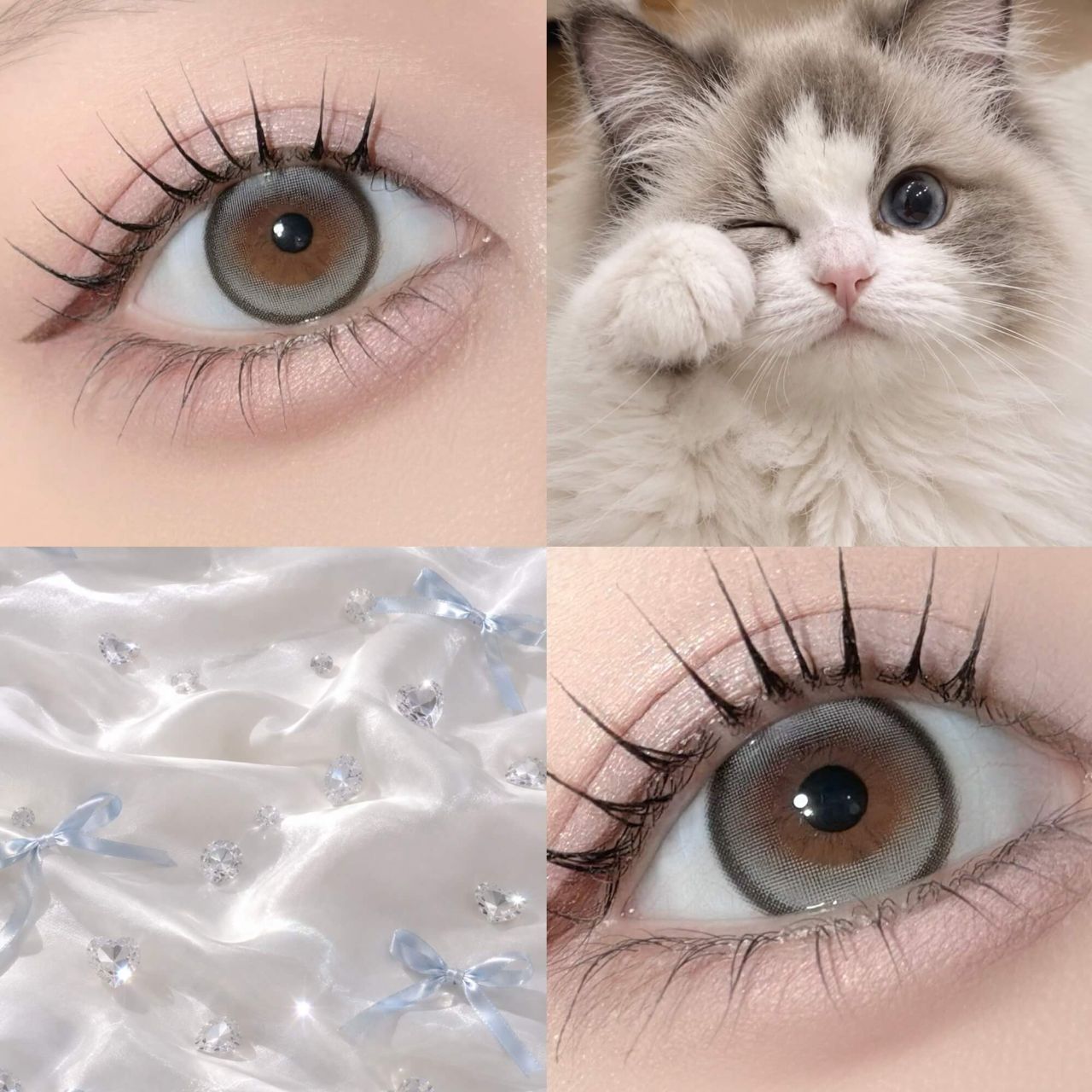 ミューエット シリコーン ハイドロゲル／シリコン（Mewette silicone hydrogel）【11月初旬発売予定】 ラグドール【回らない水光】