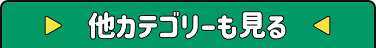 他のカテゴリーも見る