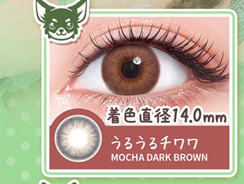うるうるチワワ