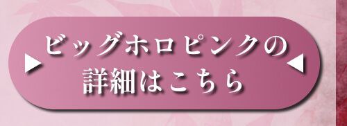 詳細はこちら