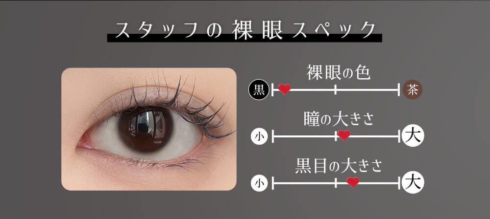 着画スタッフの裸眼スペック