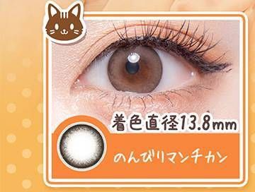 のんびりマンチカン