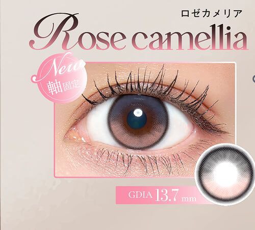 ロゼカメリア