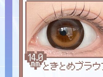 ときとめブラウン