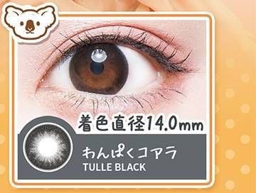 わんぱくコアラ/Tulle Black