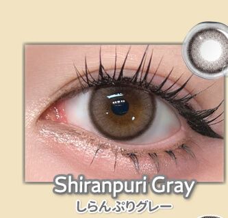 しらんぷりグレー