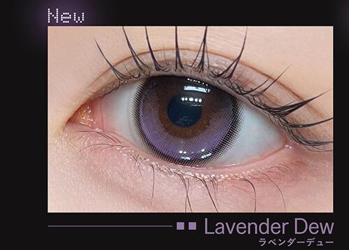 ラベンダーデュー