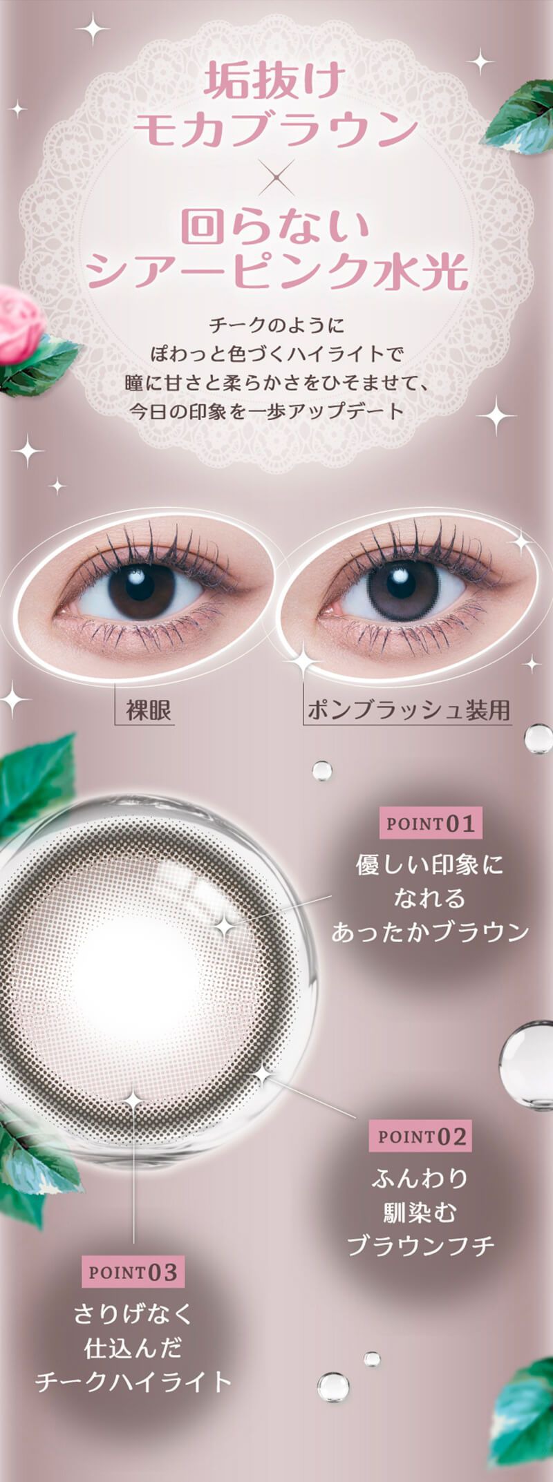 ポンブラッシュ