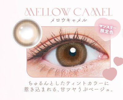 メロウキャメル