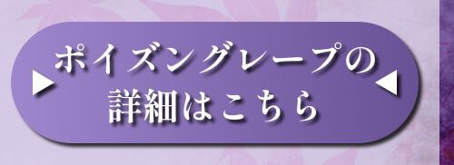 詳細はこちら