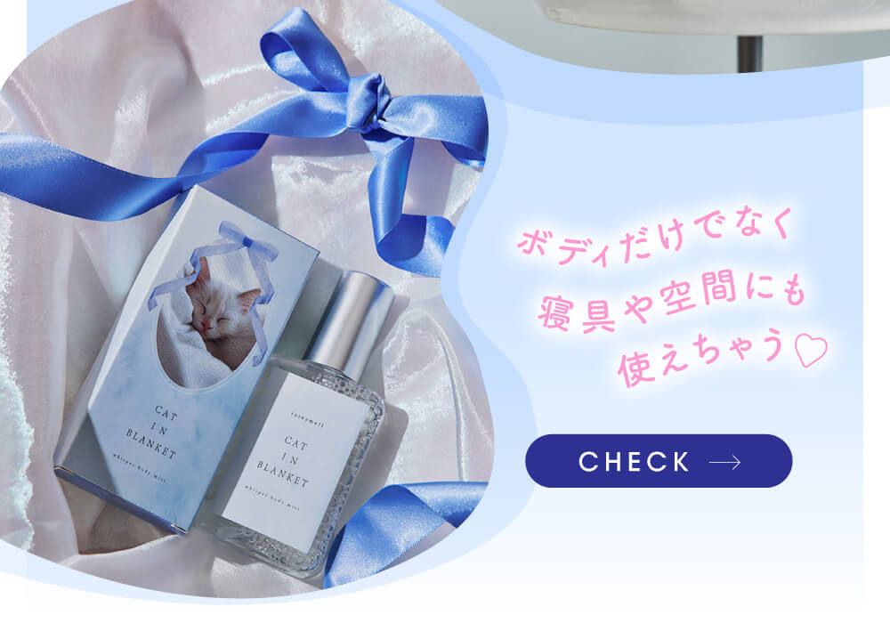 キャットインブランケット