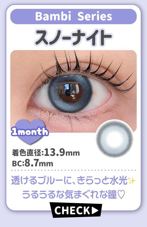 スノーナイト
