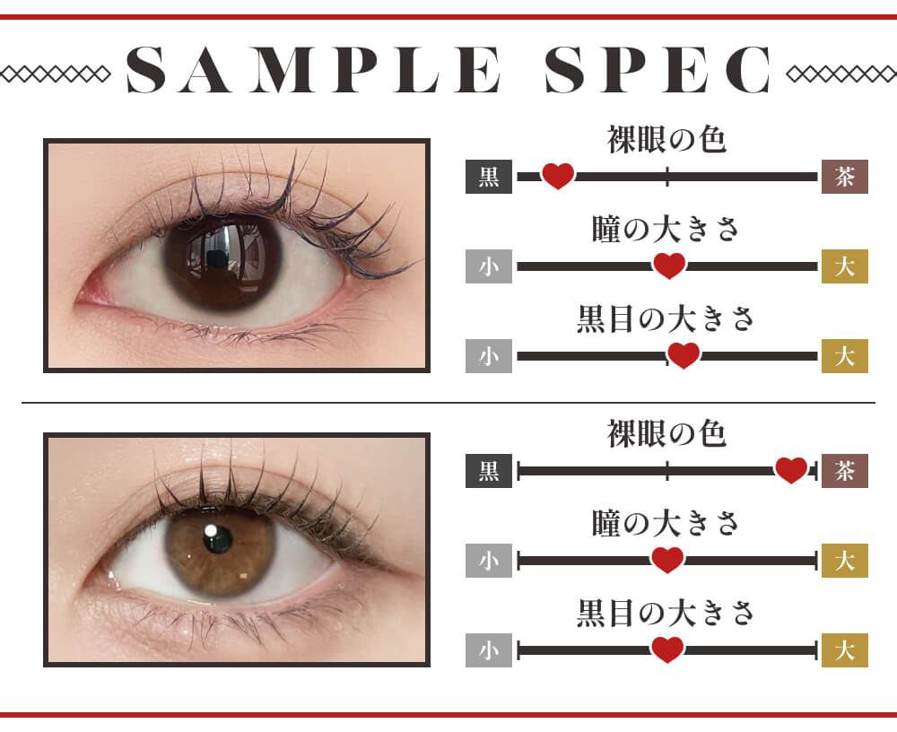 サンプルスペック