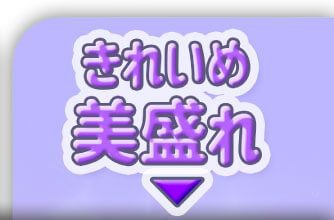 きれいめ美盛れ