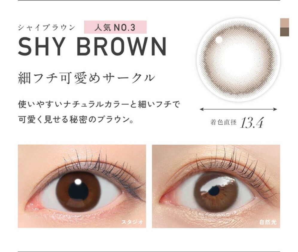 シャイブラウン