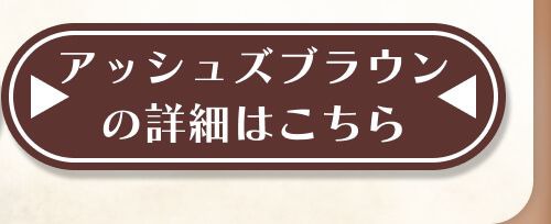 詳細はこちら
