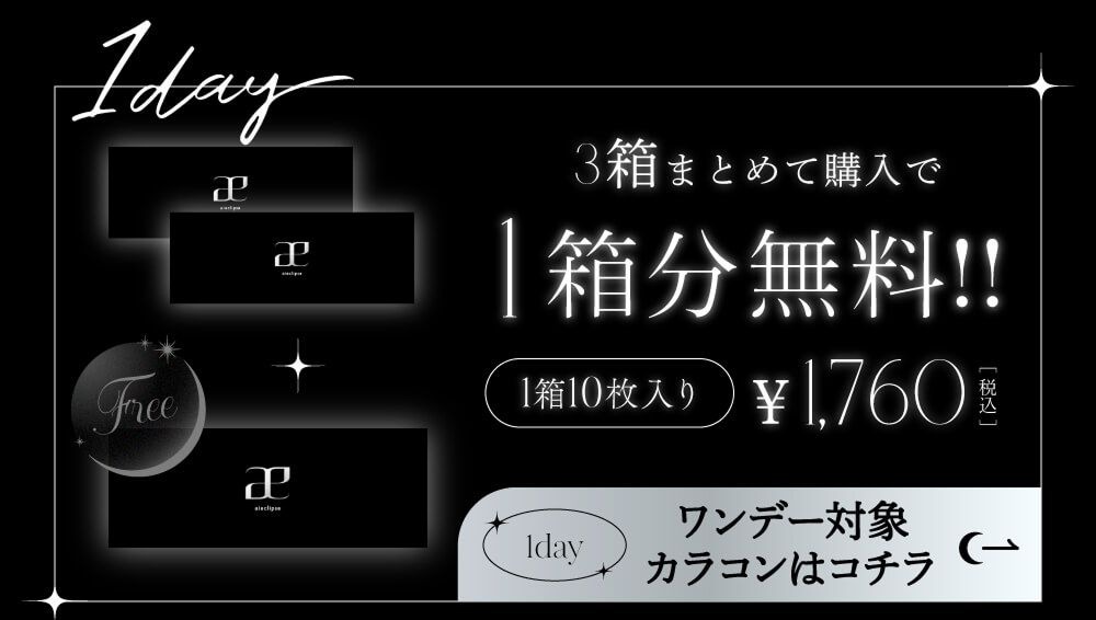 ワンデーバンドル