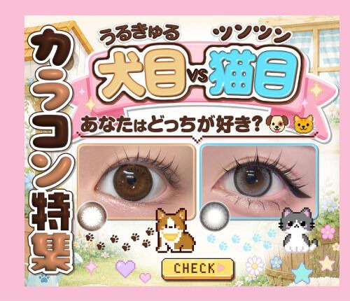 犬目vs猫目特集