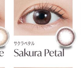 サクラペタル