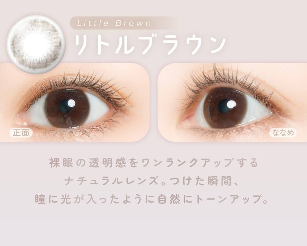 リトルブラウン