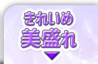 きれいめ美盛れ