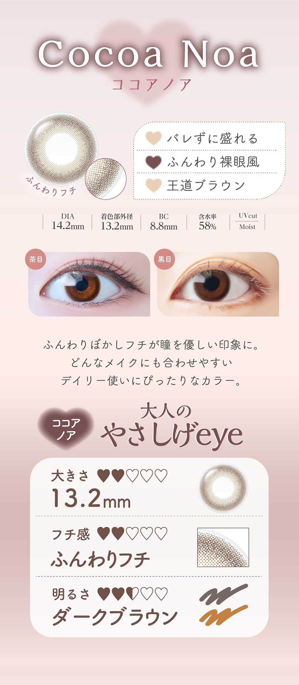 ココアノア