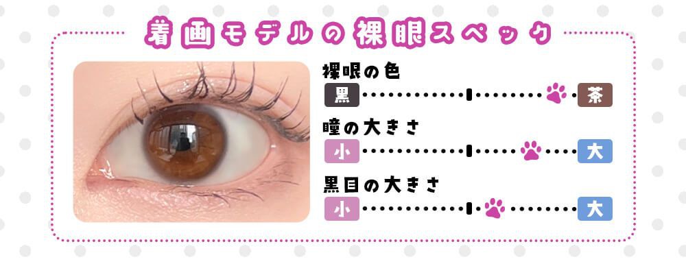 着画スタッフの裸眼スペック