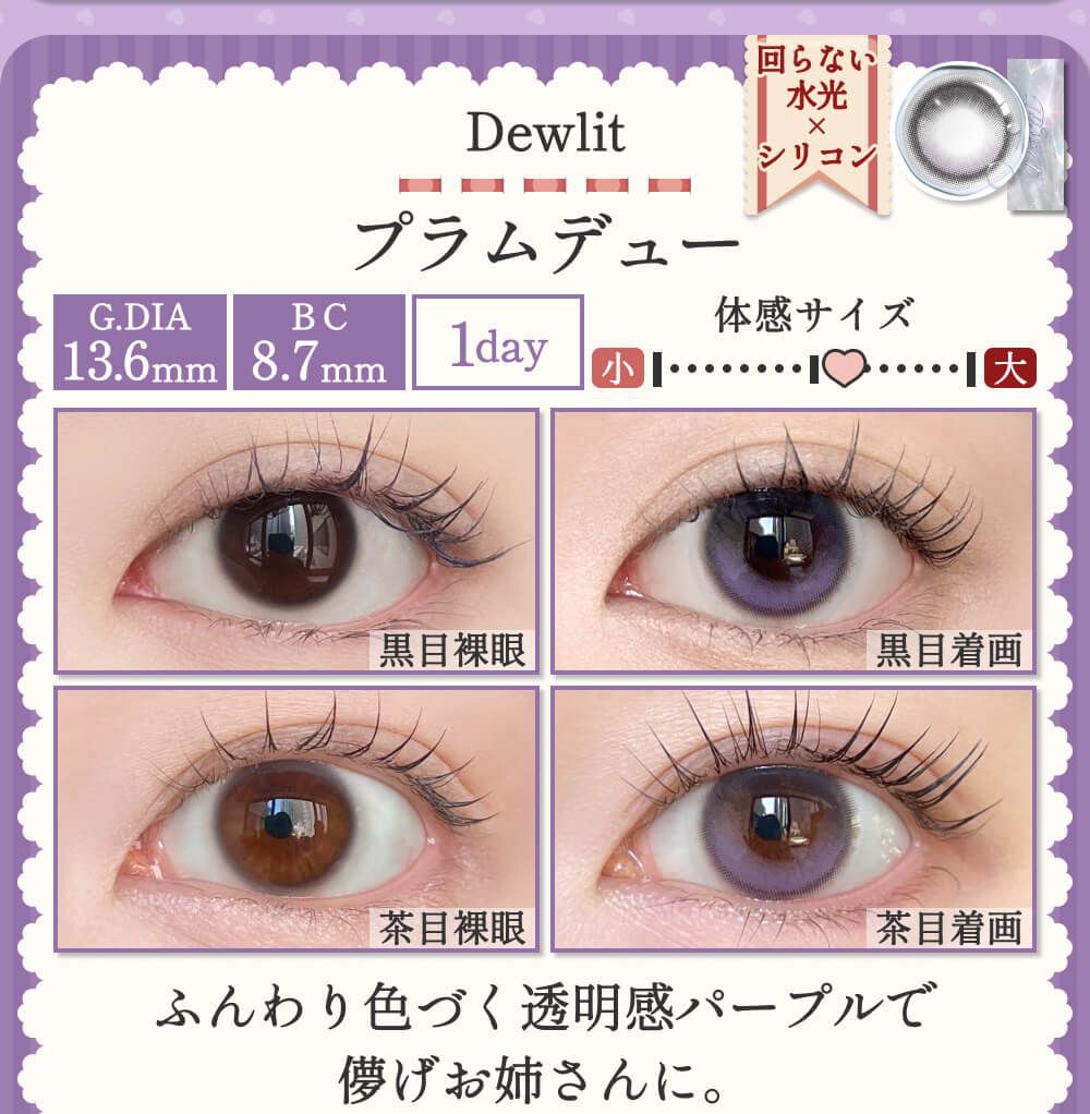 プラムデュー