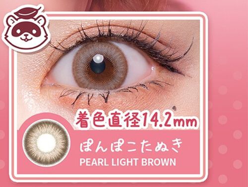 ぽんぽこたぬき