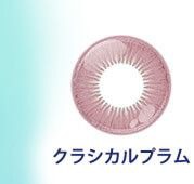 クラシカルプラム