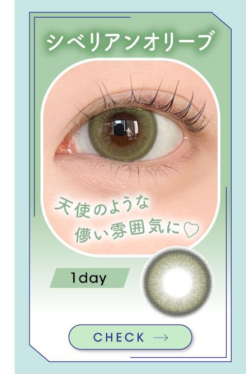 シベリアンオリーブ