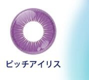 ピッチアイリス