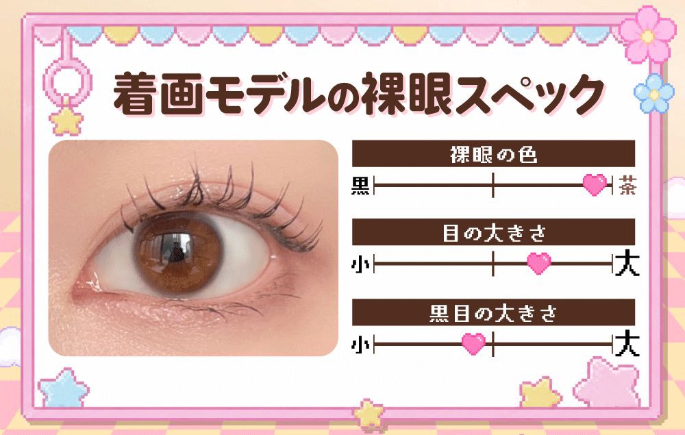 モデルスペック