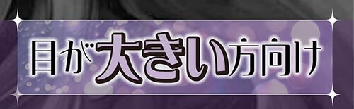 目が大きい方向け