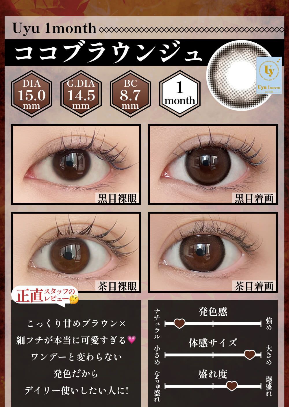 ココアブラウンジュ