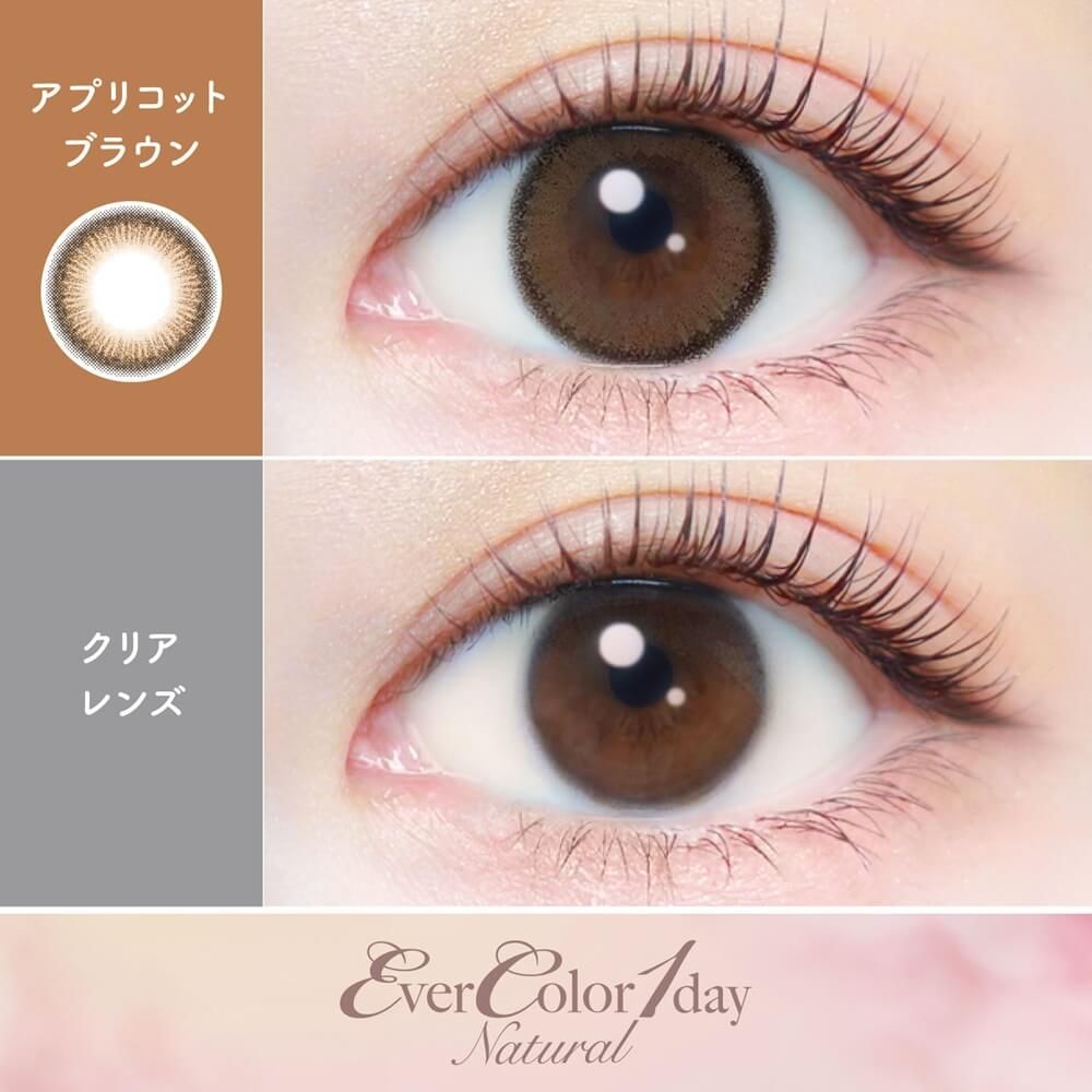 ミャウエバー アプリコットブラウン 楽天市場】ミャウエバー MeowEver グレー ブラック アプリコット