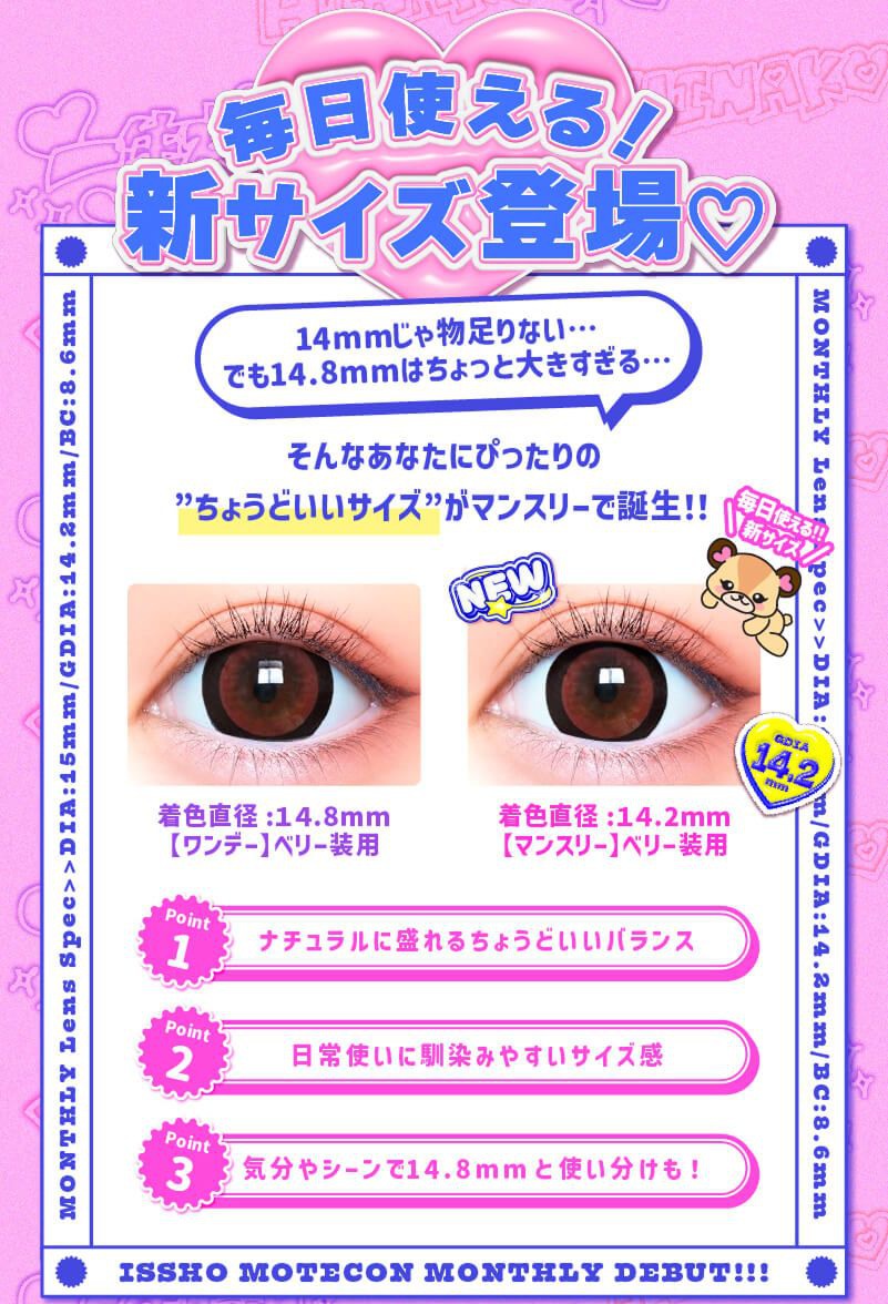 毎日使える新サイズ