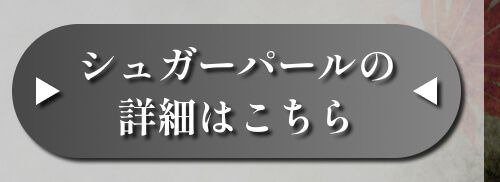詳細はこちら