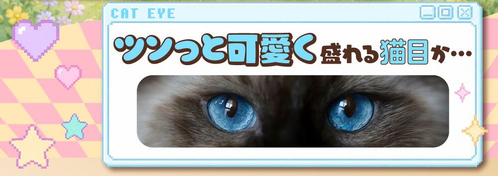 猫目