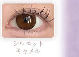 シルエットキャメル