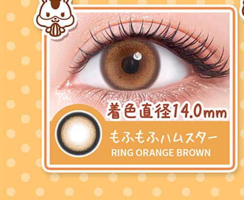 もふもふハムスター