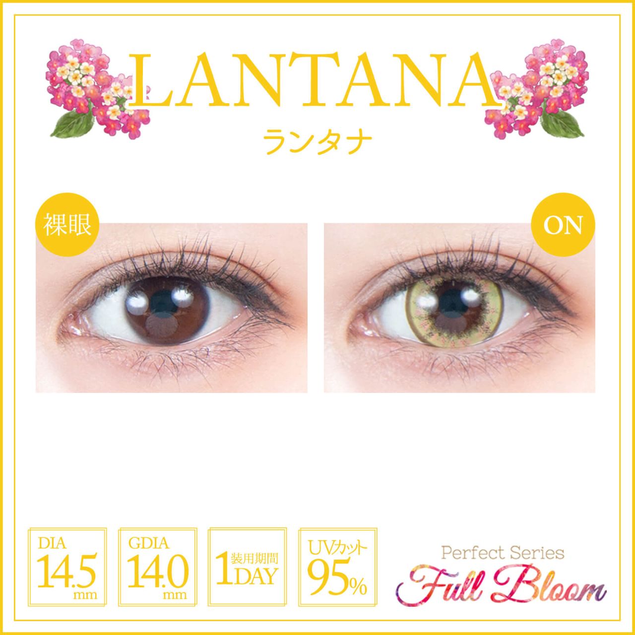 パーフェクトシリーズ フルブルームワンデー（Perfect Series