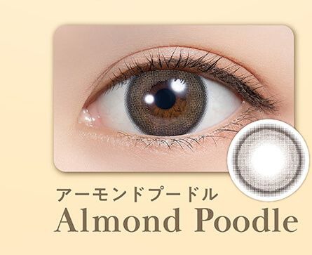 アーモンドプードル