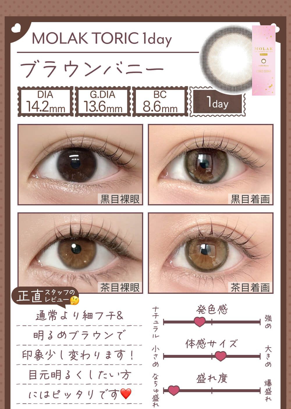 ブラウンバニー