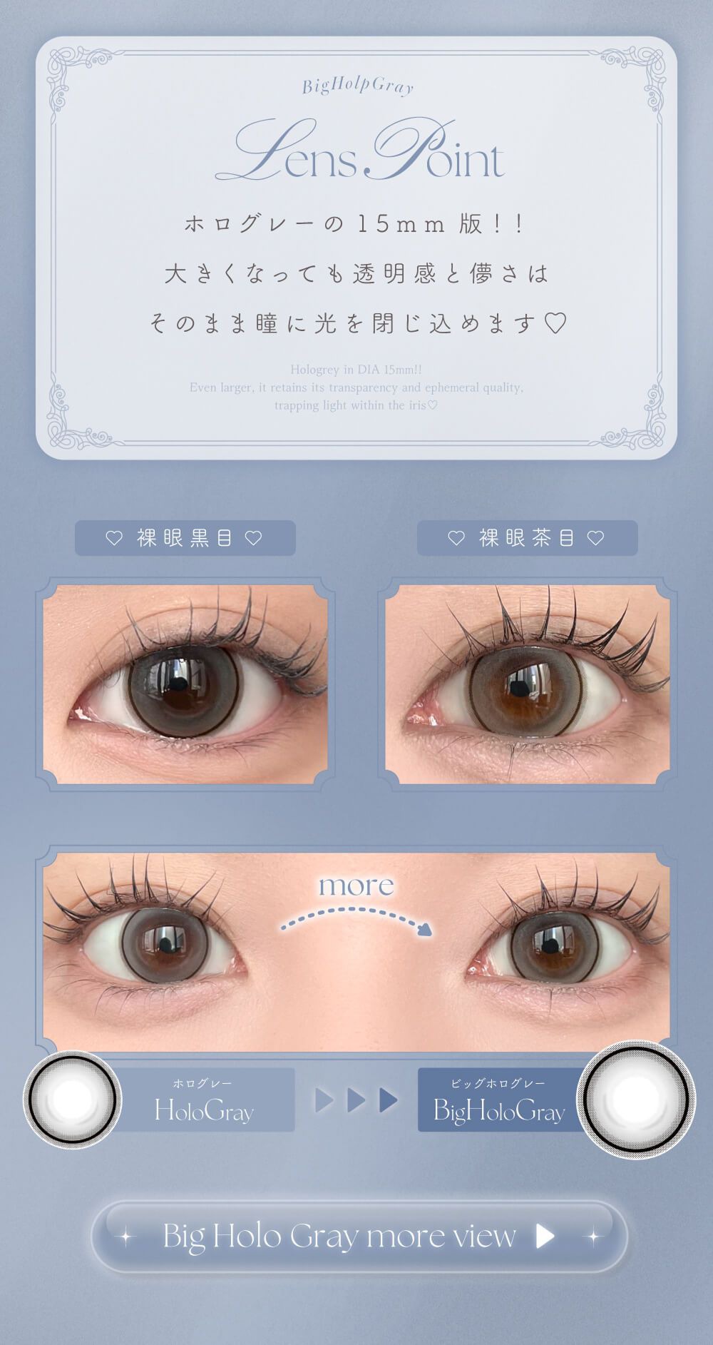 ビッグホログレー