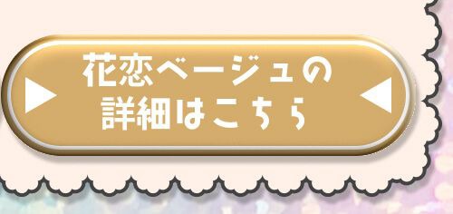 詳細はこちら