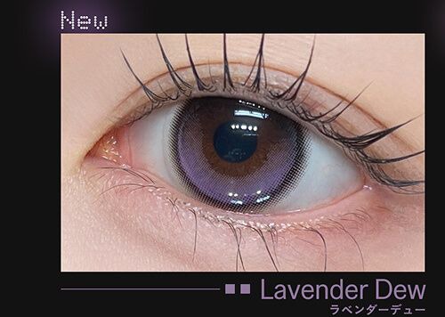 ラベンダーデュー