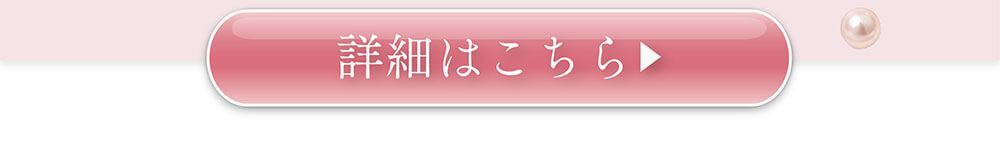 レイニーメルアイパレット