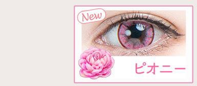 ピオニー